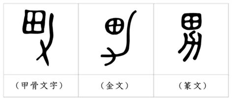 男 象形文字|男（ダン）の漢字の成り立ち(語源)と意味、用途